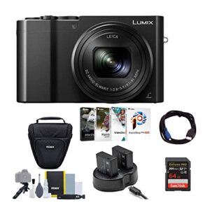 panasonic lumix dmc-zs100 digital camera (black) bundle with 64gb memory card, cable, battery with dual charger, case with accessories, and video software suite (6 items)