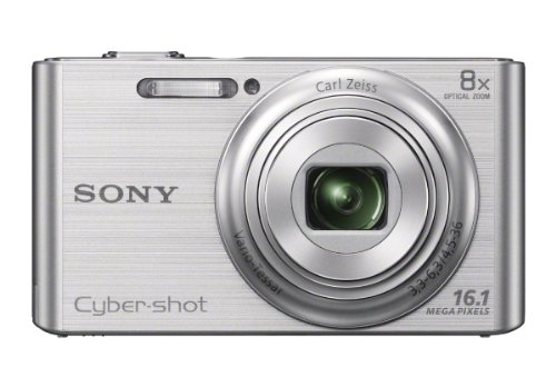 Sony DSC-W730 16.1 MP Digital Camera with 2.7-Inch LCD (Silver) (OLD MODEL)