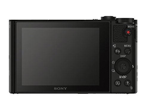 Sony Cyber-shot DSC-WX500 Digital Camera (Black) Bundle [Japan Import]
