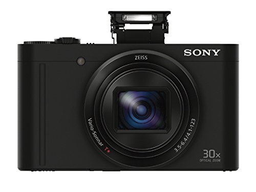 Sony Cyber-shot DSC-WX500 Digital Camera (Black) Bundle [Japan Import]