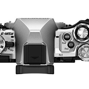 OLYMPUS OM-D E-M5 Mark II (Silver) (Body Only)