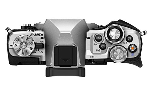 OLYMPUS OM-D E-M5 Mark II (Silver) (Body Only)