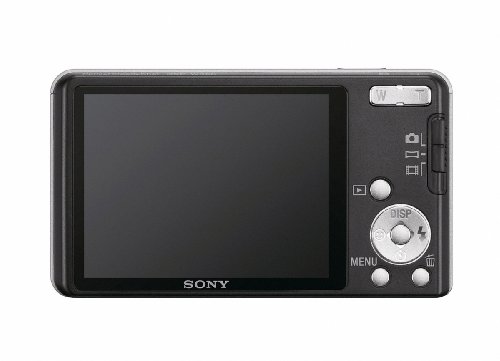 Sony DSC-W350 14.1MP Digital Camera with 4x Wide Angle Zoom with Optical Steady Shot Image Stabilization and 2.7 inch LCD (Silver)