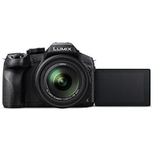 Panasonic Lumix DMC-FZ300 Digital Camera (DMC-FZ300K) - Bundle - with 256GB Memory Card + DMW-BLC12 Battery + Digital Flash + Soft Bag + 12 Inch Flexible Tripod + Cleaning Set + More