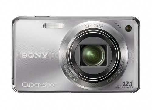 Sony Cyber-shot DSC-W290 12.1 MP Digital Camera with 5x Optical Zoom and Super Steady Shot Image Stabilization (Silver)