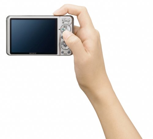 Sony Cyber-shot DSC-W290 12.1 MP Digital Camera with 5x Optical Zoom and Super Steady Shot Image Stabilization (Silver)