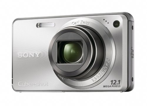 Sony Cyber-shot DSC-W290 12.1 MP Digital Camera with 5x Optical Zoom and Super Steady Shot Image Stabilization (Silver)