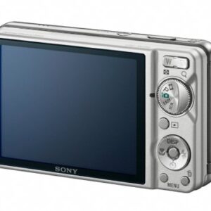 Sony Cyber-shot DSC-W290 12.1 MP Digital Camera with 5x Optical Zoom and Super Steady Shot Image Stabilization (Silver)