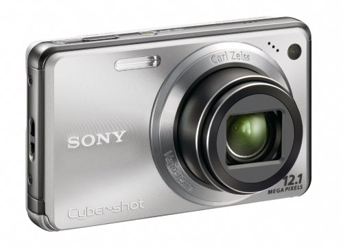 Sony Cyber-shot DSC-W290 12.1 MP Digital Camera with 5x Optical Zoom and Super Steady Shot Image Stabilization (Silver)