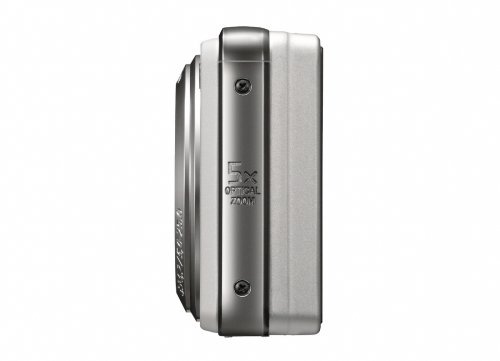 Sony Cyber-shot DSC-W290 12.1 MP Digital Camera with 5x Optical Zoom and Super Steady Shot Image Stabilization (Silver)