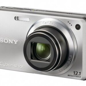 Sony Cyber-shot DSC-W290 12.1 MP Digital Camera with 5x Optical Zoom and Super Steady Shot Image Stabilization (Silver)