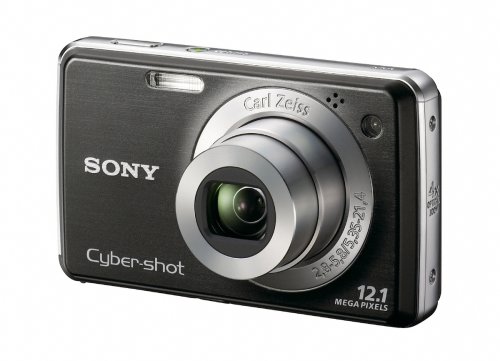Sony Cybershot DSC-W220 12.1MP Digital Camera with 4x Optical Zoom with Super Steady Shot Image Stabilization (Black)