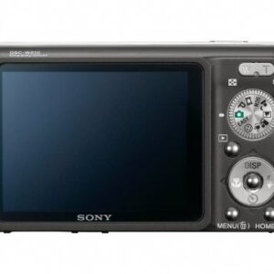 Sony Cybershot DSC-W220 12.1MP Digital Camera with 4x Optical Zoom with Super Steady Shot Image Stabilization (Black)