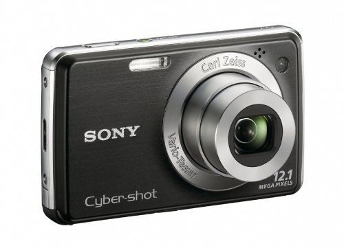 Sony Cybershot DSC-W220 12.1MP Digital Camera with 4x Optical Zoom with Super Steady Shot Image Stabilization (Black)