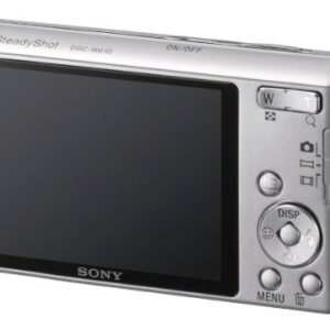 Sony Cyber-shot DSCW610 14.1 MP Digital Camera with 4x Optical Zoom and 2.7-Inch LCD (Silver) (2012 Model)