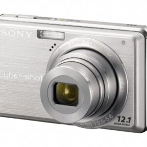 Sony Cybershot DSC-S980 12.1MP Digital Camera with 4x Optical Zoom with Super Steady Shot Image Stabilization (Silver)