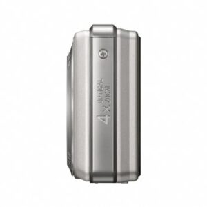 Sony Cybershot DSC-S980 12.1MP Digital Camera with 4x Optical Zoom with Super Steady Shot Image Stabilization (Silver)