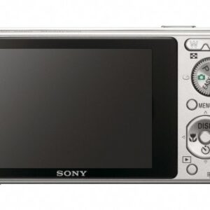 Sony Cybershot DSC-S980 12.1MP Digital Camera with 4x Optical Zoom with Super Steady Shot Image Stabilization (Silver)