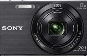 Sony Cyber-Shot DSC-W830 (20.5 MP,8 x Optical Zoom,2.7 -inch LCD)