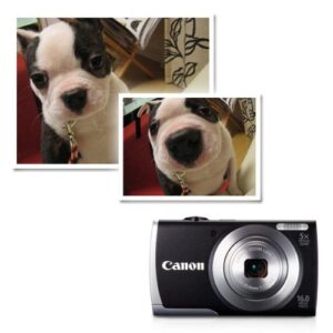 Canon PowerShot A2600 is 16.0 MP Digital Camera with 5X Optical Zoom and 720p Full HD Video Recording (Black)