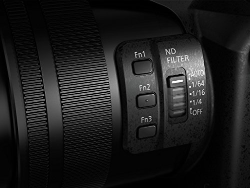 PANASONIC LUMIX FZ2500 4K Point and Shoot Camera, 20X LEICA DC Vario-ELMARIT F2.8-4.5 Lens, 21.1 Megapixels, 1 Inch High Sensitivity Sensor, DMC-FZ2500 (Renewed)