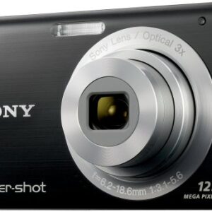 Sony Cybershot DSC-W190 12.1MP Digital Camera with 3x Super Steady Shot Stabilized Zoom and 2.7 inch LCD (Black)