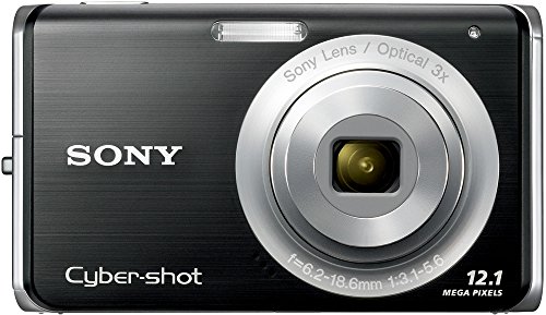 Sony Cybershot DSC-W190 12.1MP Digital Camera with 3x Super Steady Shot Stabilized Zoom and 2.7 inch LCD (Black)