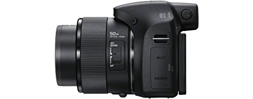 DSC-HX300 - black