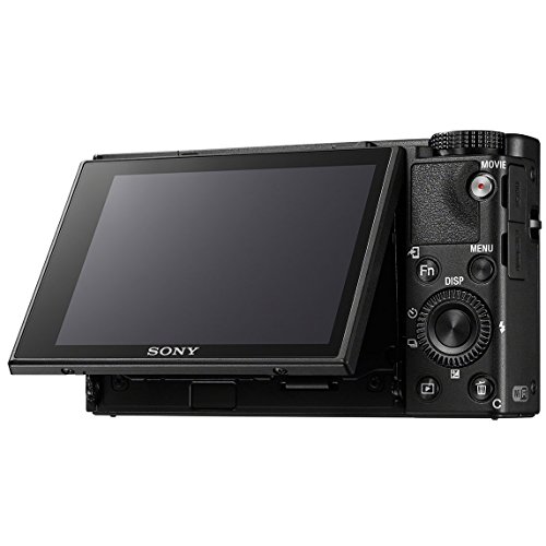 Sony Cyber-Shot DSC-RX100M6 RX100 VI Mark 6 20.2 MP 4K Compact Digital Camera with F2.8 - F4.5 Zeiss 24-200mm Lens with Triple Battery Deco Gear Field Bag Case Memory Card Travel Bundle