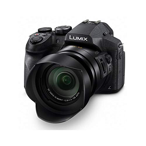 Panasonic Lumix DMC-FZ300 Digital Camera, 12.1 Megapixel, 1/2.3-inch Sensor, 4K Video, 24X Zoom Lens F2.8 Bundle with Bag, Filter, Battery, 64GB SD Card + Case, Tripod, PC Software, Cleaning Kit