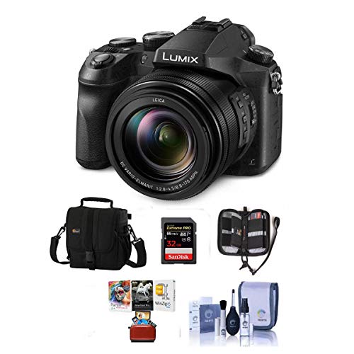 Panasonic Lumix DMC-FZ2500 Digital Camera - Bundle with Camera Case, 32GB SDHC U3 Card, Memory Wallet, Cleaning Kit, SD Card Reader, MAC Software Package