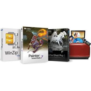 Panasonic Lumix DMC-FZ2500 Digital Camera - Bundle with Camera Case, 32GB SDHC U3 Card, Memory Wallet, Cleaning Kit, SD Card Reader, MAC Software Package