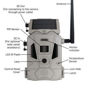 Bushnell CelluCORE 20 Solar Trail Camera, Low Glow Hunting Game Camera with Detachable Solar Panel with Bundle Options (Strap + SD Card)