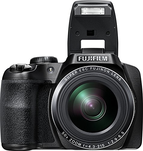 Fujifilm FinePix S9900W Digital Camera with 3.0-Inch LCD (Black)