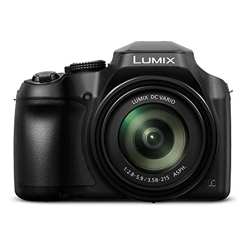 Panasonic Lumix DC-FZ80 Digital Camera + Carrying Case + 64GB Memory Card Bundle