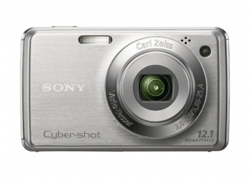 Sony Cybershot DSC-W220 12.1MP Digital Camera with 4x Optical Zoom with Super Steady Shot Image Stabilization (Silver)