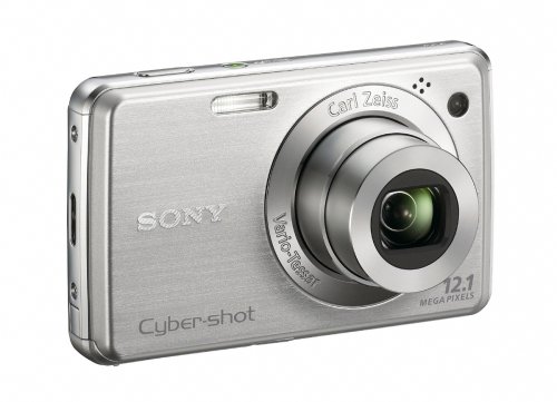 Sony Cybershot DSC-W220 12.1MP Digital Camera with 4x Optical Zoom with Super Steady Shot Image Stabilization (Silver)