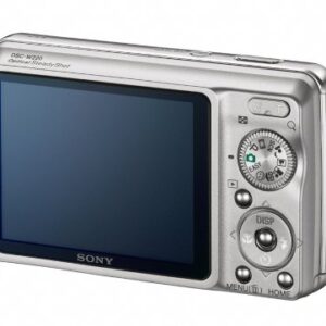 Sony Cybershot DSC-W220 12.1MP Digital Camera with 4x Optical Zoom with Super Steady Shot Image Stabilization (Silver)