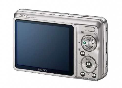 Sony Cybershot DSC-W220 12.1MP Digital Camera with 4x Optical Zoom with Super Steady Shot Image Stabilization (Silver)