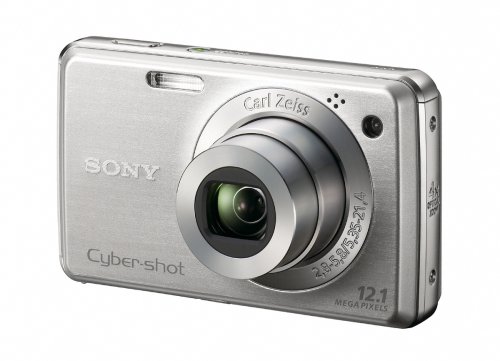 Sony Cybershot DSC-W220 12.1MP Digital Camera with 4x Optical Zoom with Super Steady Shot Image Stabilization (Silver)