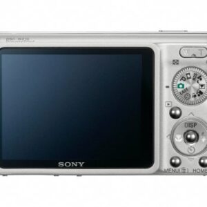 Sony Cybershot DSC-W220 12.1MP Digital Camera with 4x Optical Zoom with Super Steady Shot Image Stabilization (Silver)