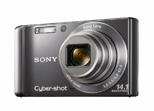 Sony DSC-W370 14.1MP Digital Camera with 7x Wide Angle Zoom with Optical Steady Shot Image Stabilization and 3.0 inch LCD (Silver)