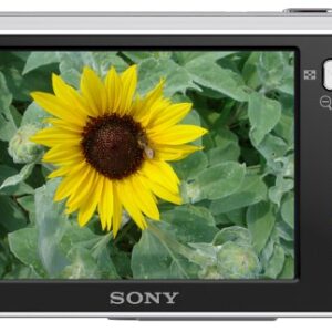 Sony Cybershot DSCN1 8.1MP Digital Camera with 3x Optical Zoom