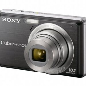 Sony Cybershot DSC-S950 10MP Digital Camera with 4x Optical Zoom with Super Steady Shot Image Stabilization (Black)