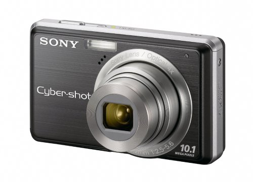 Sony Cybershot DSC-S950 10MP Digital Camera with 4x Optical Zoom with Super Steady Shot Image Stabilization (Black)