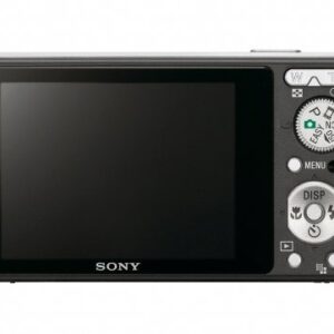 Sony Cybershot DSC-S950 10MP Digital Camera with 4x Optical Zoom with Super Steady Shot Image Stabilization (Black)