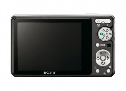 Sony Cybershot DSC-S950 10MP Digital Camera with 4x Optical Zoom with Super Steady Shot Image Stabilization (Black)