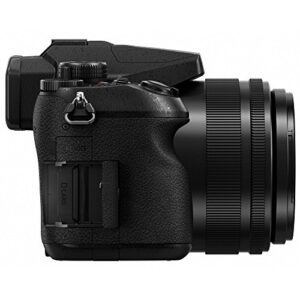 Panasonic LUMIX DMC-FZ2500 20.1 MP 20x F/2.8-4.5 Leica Optical Zoom Digital Camera + MIC-403 Mini Zoom Microphone + 64GB Accessory Bundle