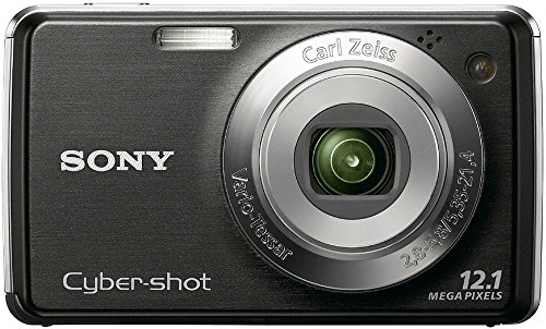 Sony Cyber-shot DSC-W230 12.1 MP Digital Camera with 4x Optical Zoom and Super Steady Shot Image Stabilization (Black)