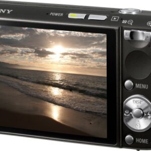 Sony Cybershot DSC-T100 8.1MP Digital Camera with 5x Optical Zoom and Super Steady Shot (Black)